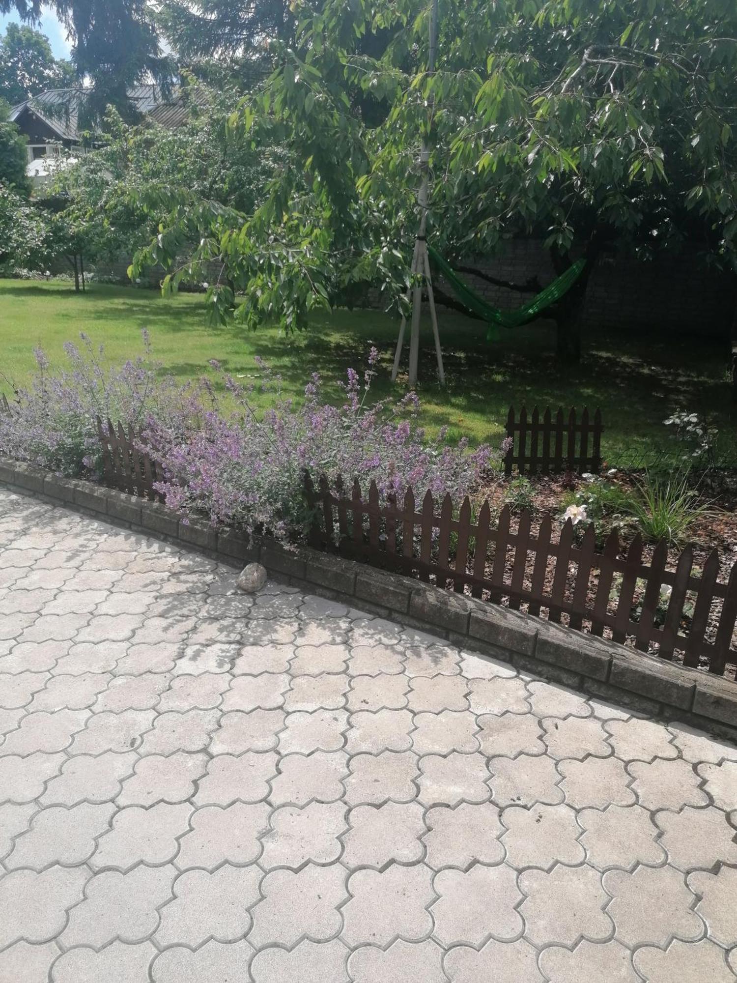 Apartment In Central Trakai Luaran gambar